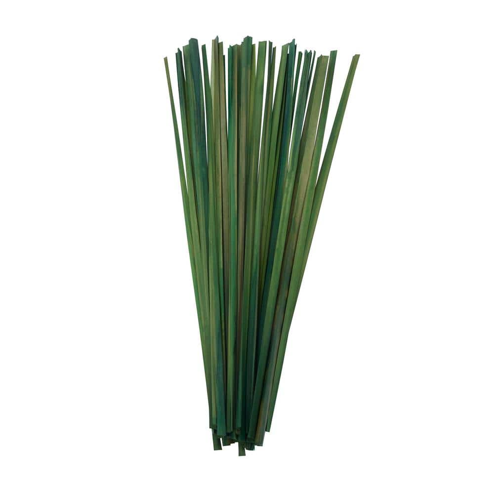 Decorative Natural Branches Tall Palm Branches Ting Vase -  India