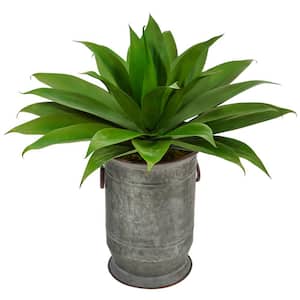 Nearly Natural Indoor 28 in. Agave Artificial Plant 6331 - The Home Depot