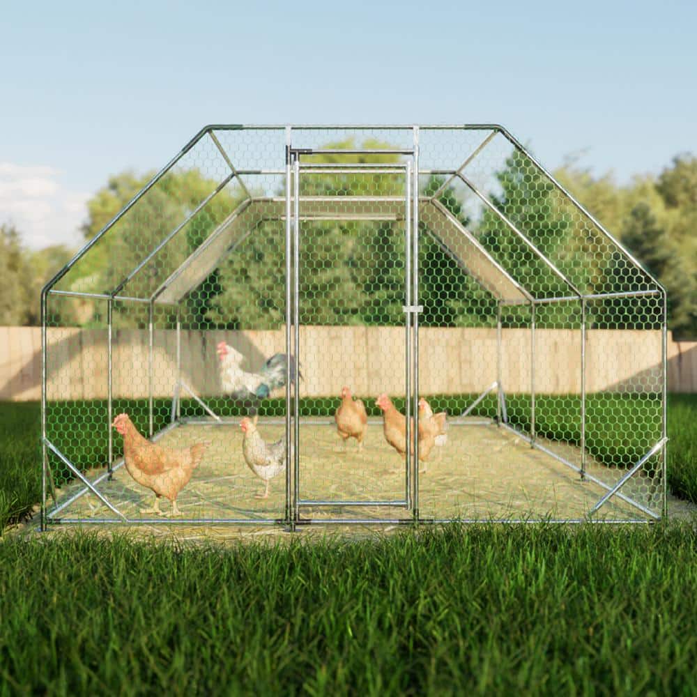 Large Galvanized Metal Walk-In Chicken Coop with UV-Resistant Tarpaulin