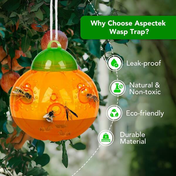 ワカメ Aspectek Pumpkin-shaped Wasp Trap Catcher (2-Pack) HR1977 - The