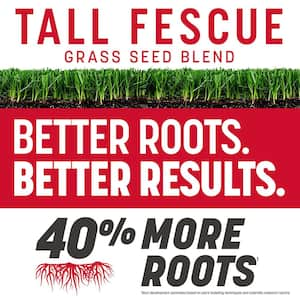 The Rebels 3 lb. 750 sq. ft. Tall Fescue Grass Seed Blend