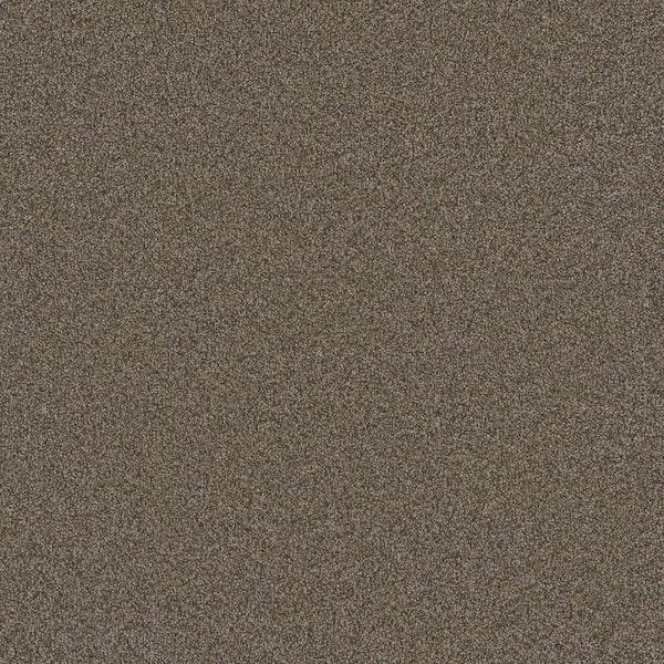 Harpstring II-Wind Brown 75 oz. SD Polyester Texture Installed Carpet