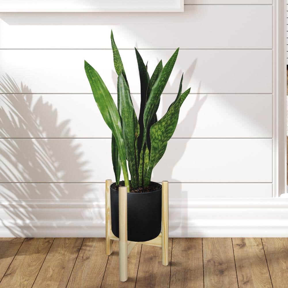 Natural Solid Wood Flippable Plant Display Stand, 10" W x 16" H