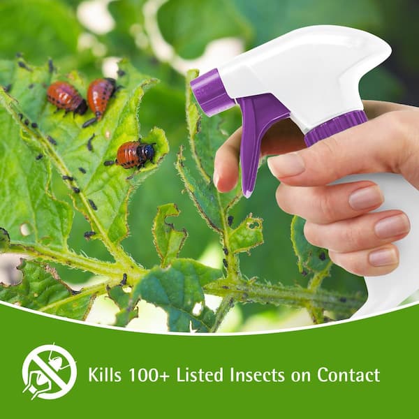 https://images.thdstatic.com/productImages/361100ad-6baf-4e79-864e-c9019dbaef1e/svn/garden-safe-bug-killer-spray-hg-93212-31_600.jpg