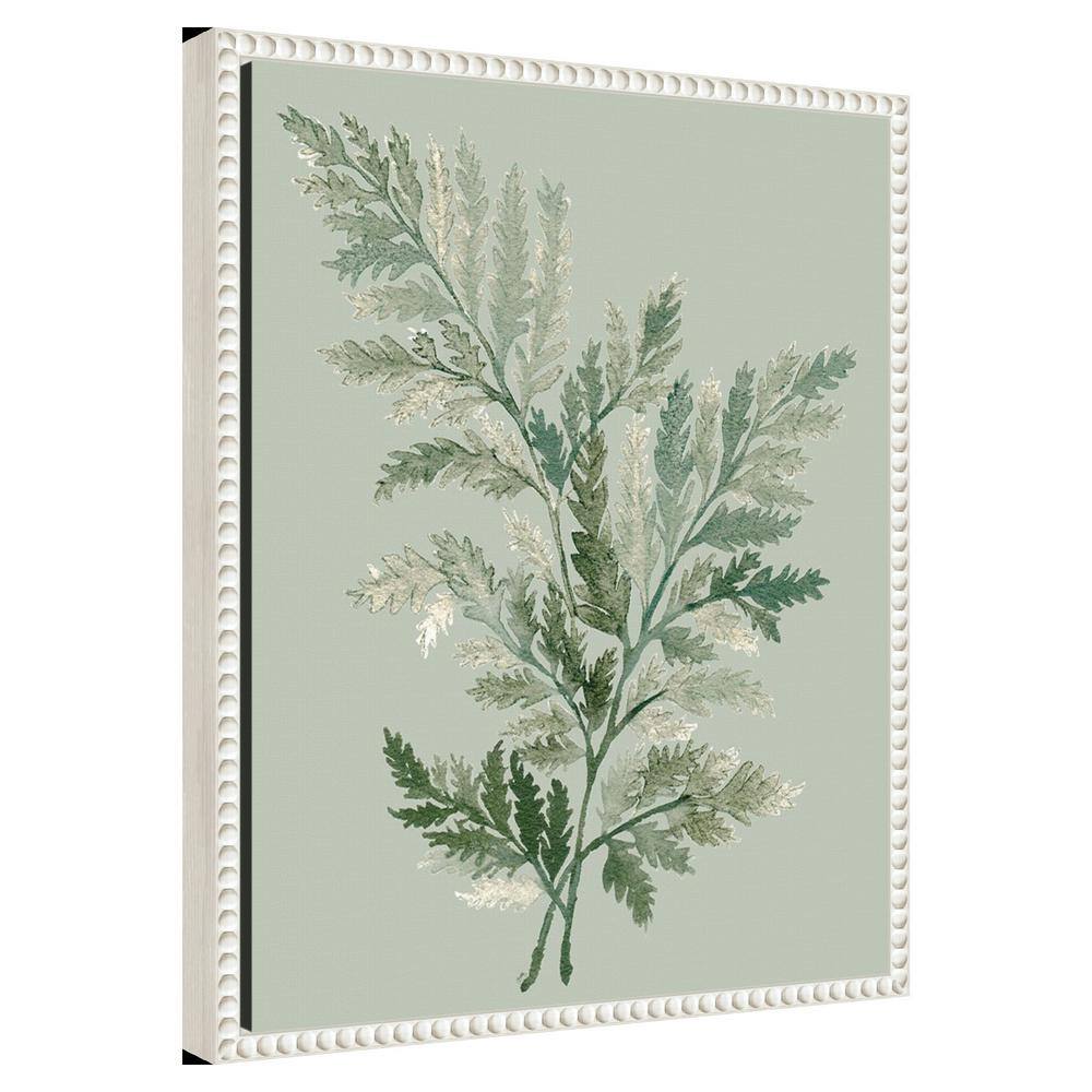 Green Ferns Botanical Canvas Print with Beaded White Frame