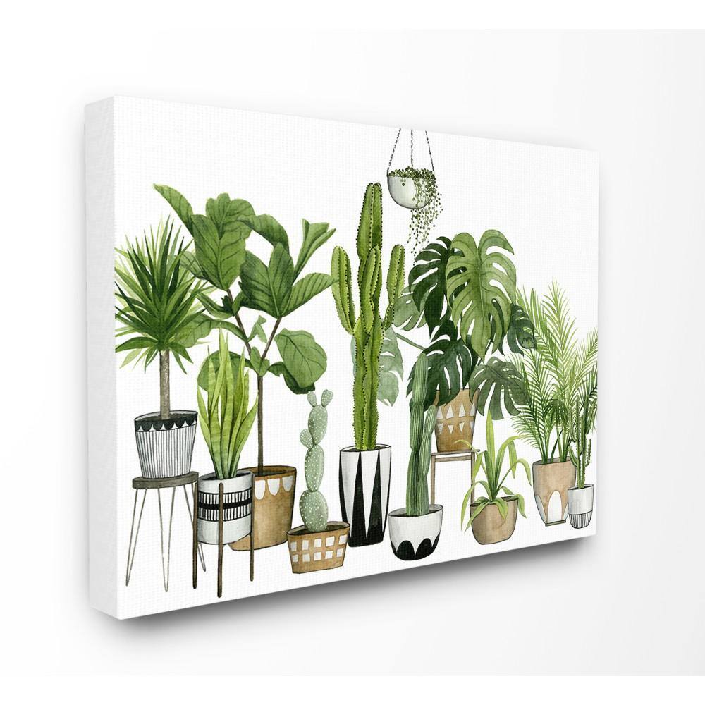 The Stupell Home Decor Collection Boho Plant Scene with Cacti and Succulents in Geometric Pots Watercolor Wall Art Canvas