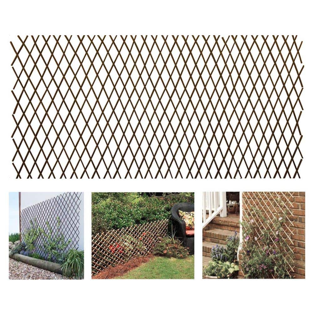 3 ft. x 7.67 ft. Expandable Pressure Treated Willow Lattice for Climbing Pl