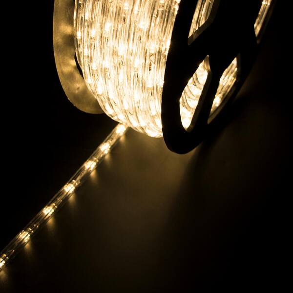 walsport Outdoor 100 ft. 110-Volt Plug-In Warm White Color