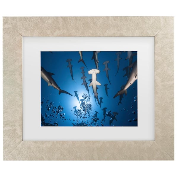 Trademark Fine Art Barathieu Gabriel Hammerhead Shark Matted Framed Photography Wall Art 14.5 in. x 17.5 in.