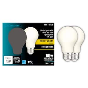 60-Watt Equivalent A19 Dimmable CEC Frosted Glass Filament LED Light Bulb Bright White (2-Pack)