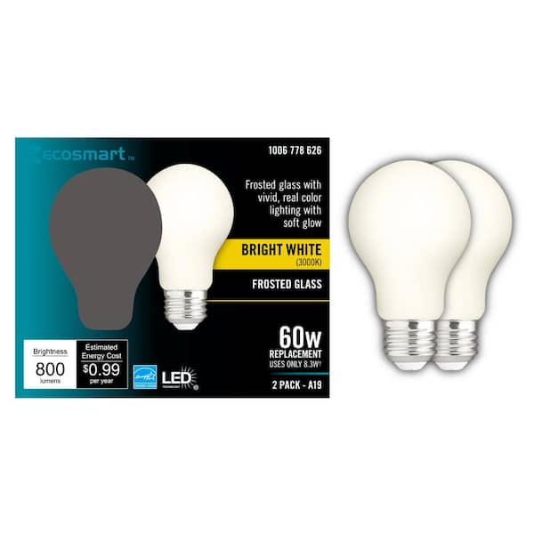 EcoSmart 60-Watt Equivalent A19 Dimmable CEC Frosted Glass Filament LED Light Bulb Bright White (2-Pack)