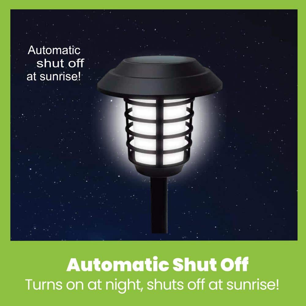 Black Solar LED Pathway Lights with Flickering Flame Effect, 2-Pack