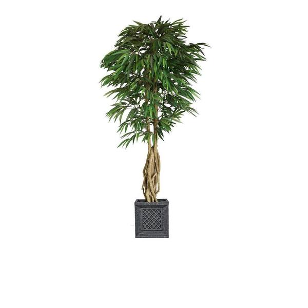 Laura Ashley 84 in. Tall Willow Ficus with Multiple Trunks in Planter