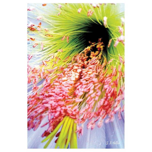 INTO THE BLOOM by Steven A. Heller 1 Piece Unframed Canvas Drawing Print Abstract Print 20 in. x 30 in.