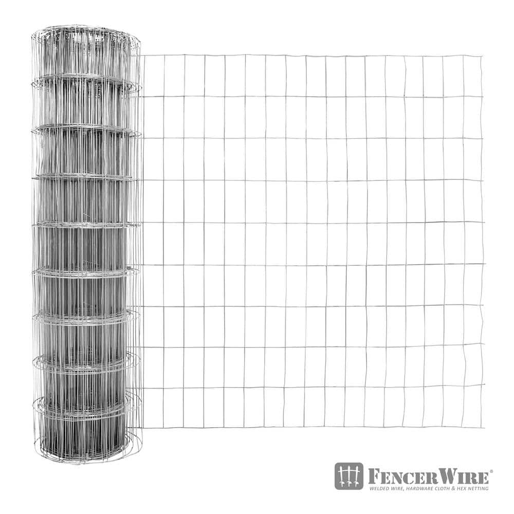 Galvanized Steel 14 Gauge Welded Wire Mesh Roll, 60" x 50'