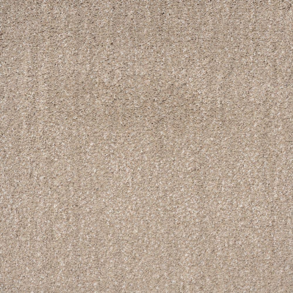 8 in. x 8 in. Texture Carpet Sample - Fluffy Expectations - Color Granola price history on PriceWatchPro