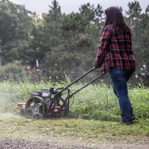 Earthquake Walk-Behind String Mower, Hurricane Cutting Head, 160cc