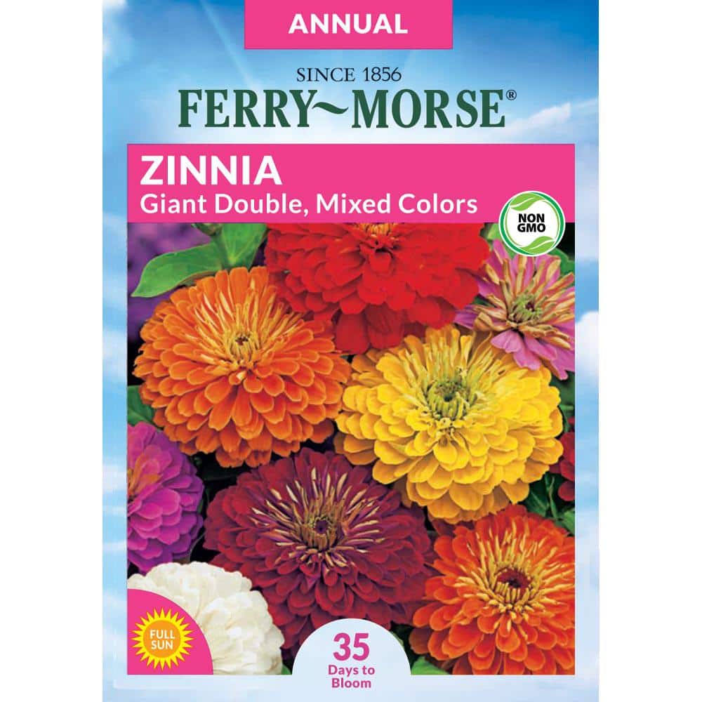 Ferry-Morse Zinnia Giant Double Flowered Mixed Colors Flower Seeds