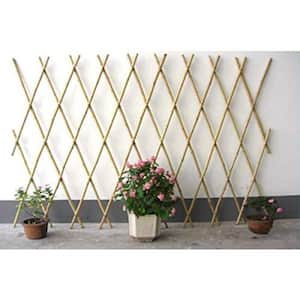 36 in. H Expandable Bamboo Poles Trellis