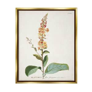 Botanical Plant Illustration Flowers Design by World Art Group Floater Frame Nature Wall Art Print 31 in. x 25 in. .