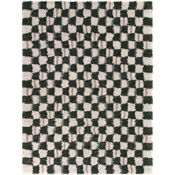 Darien Green 5 ft. 3 in. x 7 ft. Checkered Area Rug