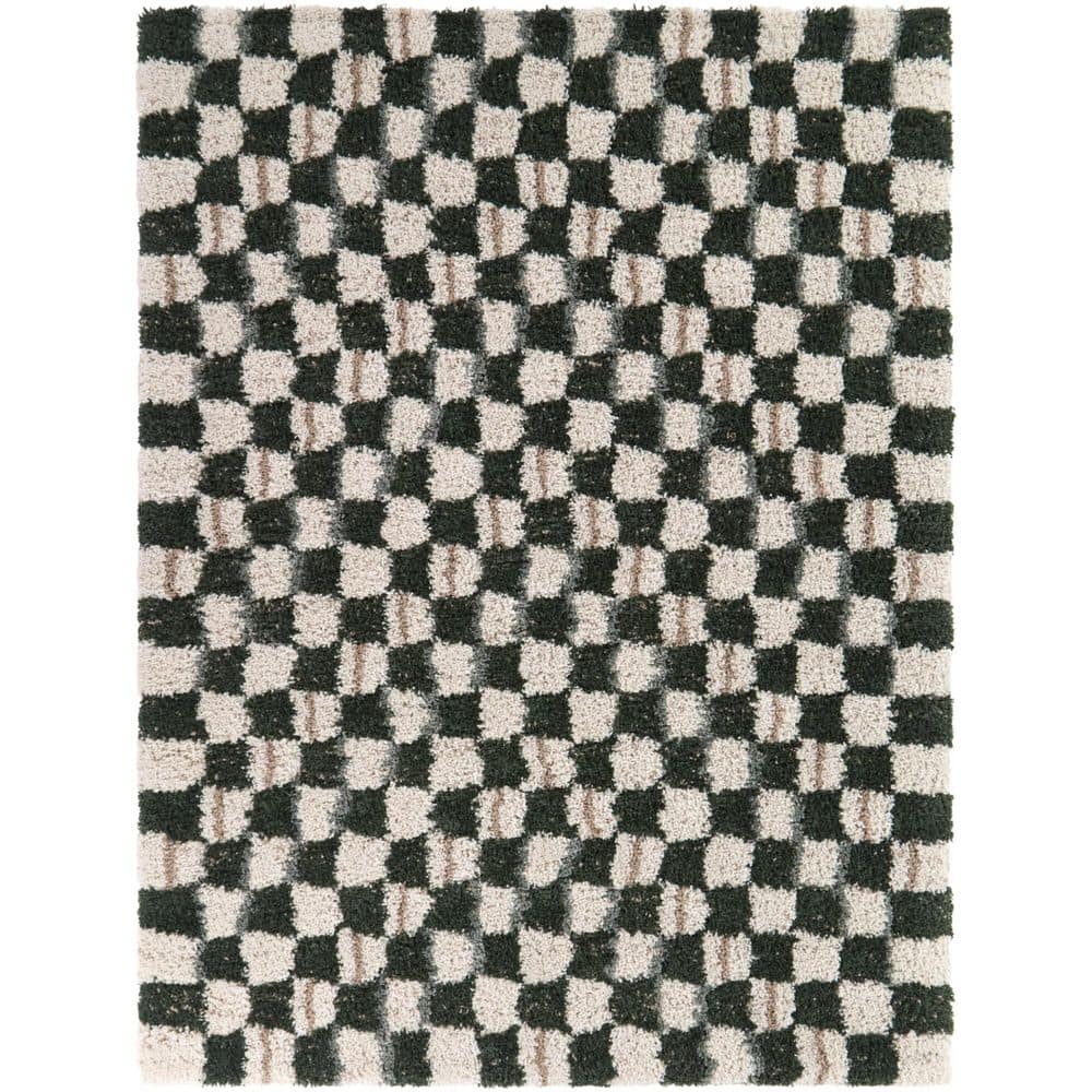 Darien Green 5 ft. 3 in. x 7 ft. Checkered Area Rug price history on PriceWatchPro