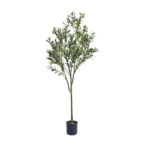 Unbranded Charming Realistic 5 .9 ft. Green Artificial Olive Tree in Pot for Decor Living Room and Dining Room, Easy Maintenance