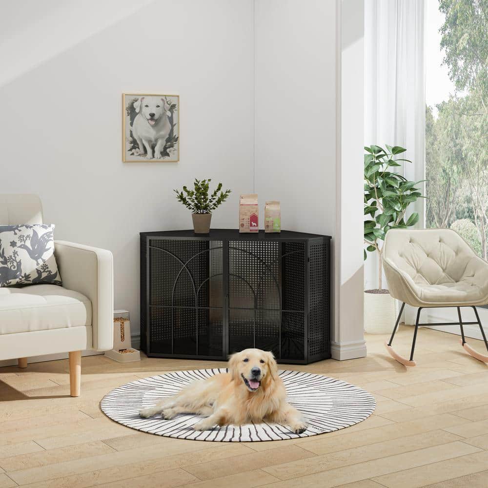 Medium Black Iron and Glass Pet Cage with Hexagonal Design