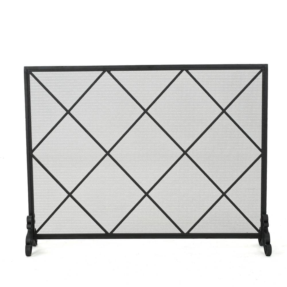 Hayden Black Iron Single Panel Fireplace Screen with Mesh