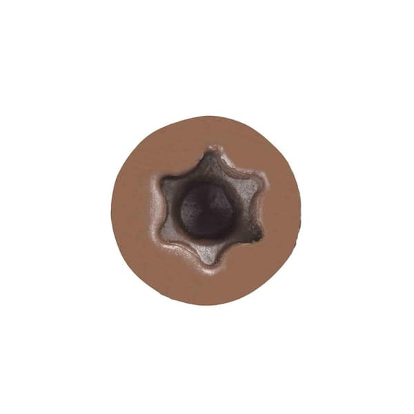 IFMEH Sheer hole t brown ifmeh × yuuki IFMEH Sheer hole t ifmeh × yuuki brown IFMEH Sheer hole t brown