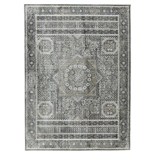 2 ft. x 3 ft. Charcoal And Gray Medallion Area Rug