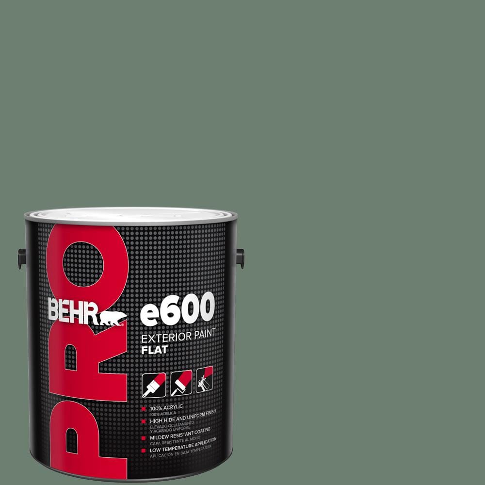 1 gal. #460F-5 Island Palm Flat Exterior Paint price history on PriceWatchPro