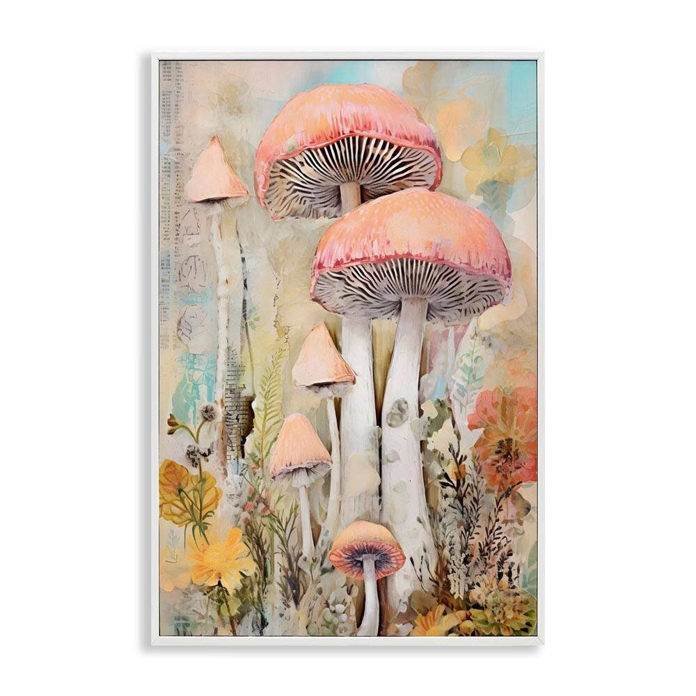 Soft Collaged Mushrooms by LSR Design Studio White Framed Nature Giclee Art Print 18 in. x 12 in. price history on PriceWatchPro