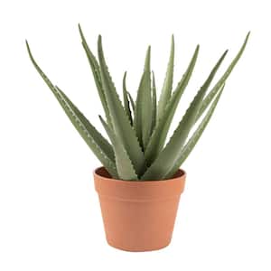 Artificial 17 in. Aloe Vera Plants in Plastic Terracotta Pot
