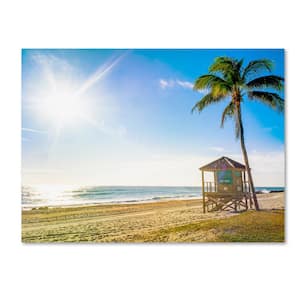 Preston 'Florida Beach Palm' Canvas Unframed Photography Wall Art 35 in. x 47 in