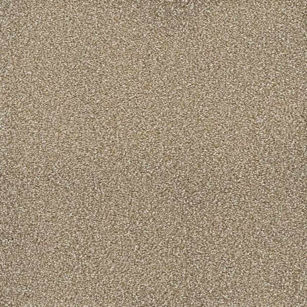 Home Decorators Collection Spicework II  - Derby Line - Beige 60 oz. SD Polyester Texture Installed Carpet