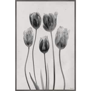 "Seeds of Happiness" by Marmont Hill Floater Framed Canvas Nature Art Print 36 in. x 24 in.