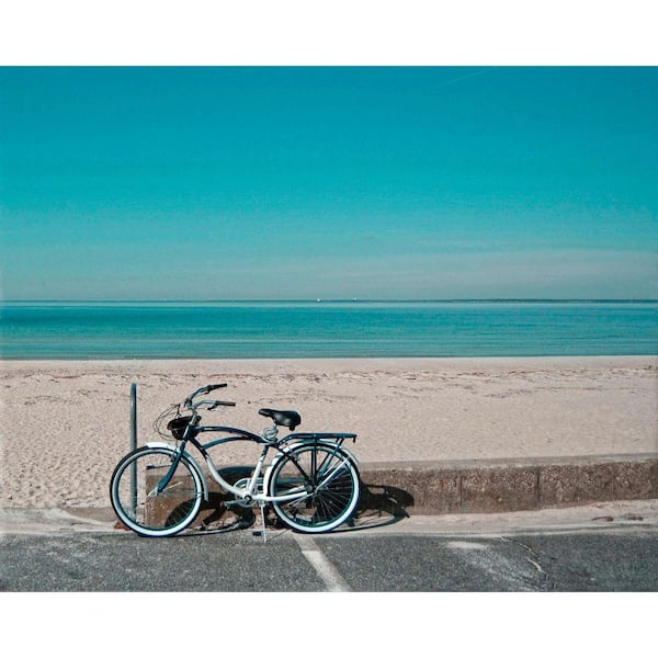 VENICE BEACH Collections Seaside Zen Bike by Grotto Studios 1