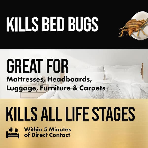 32 oz. 5-Minute Bed Bug Insect Killer and 8 oz. Diatomaceous Earth Bed Bug Killer