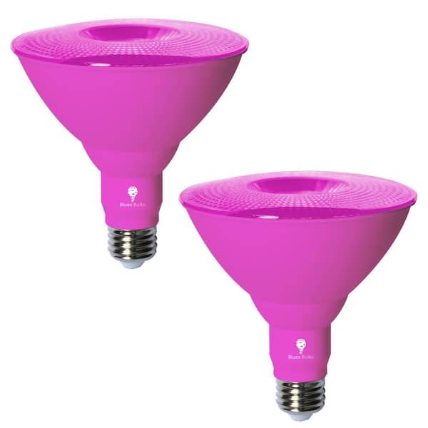 120-Watt Equivalent PAR38 Decorative LED Light Bulb in Pink (2-Pack)