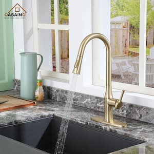 Single Handle Pull Down Sprayer Kitchen Faucet with Dual-Function Pull Out Sprayer Head in Brushed Gold