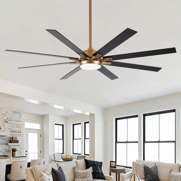 65 in. LED Indoor Gold DC Motor Ceiling Fan with Light and Remote Control, Reversible Blades