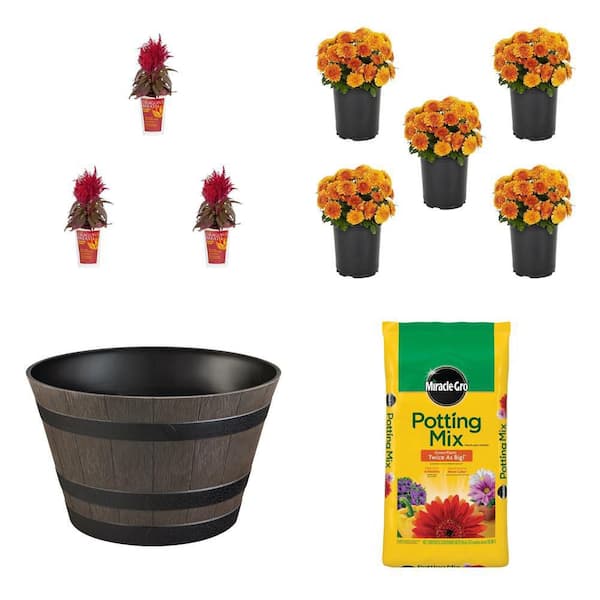 2 Qt. Red Celosia (3-Pack), 1.5 PT. Orange Mum (5-Pack), 22 in. Whiskey Barrel Planter and 50 Qt. Potting Mix