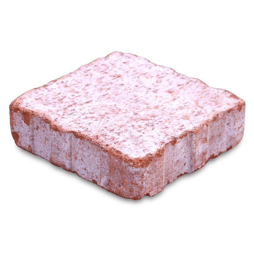Relic 6 in. x 1.63 in. x 6 in. Clay Cabrillo Paver