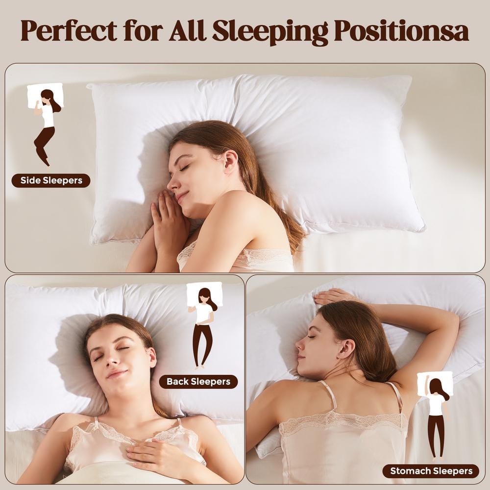 Luxurious White Goose Feather & Down Pillow Set, 100% Cotton Cover