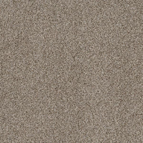 Home Decorators Collection Columbus I - Chantrelle - Brown 56.2 oz. SD Polyester Texture Installed Carpet
