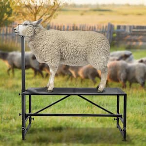 64.1 in. x 47 in. Stationary Goat & Sheep Stand 500 lbs Loading Weight Black 21 to 33in. Adjustable Height Grinder Stand