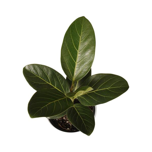 Koo5lr27lfyyom Koo5lr27lfyyom