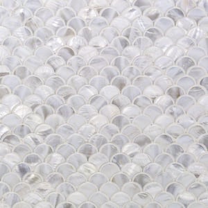Pacif White Shells 11.81 in. x 11.81 in. x 2 mm Pearl Shell Mosaic Tile