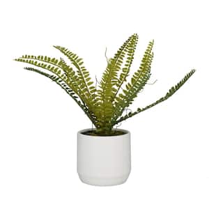 12 in. H Fern Artificial Plant with Realistic Leaves and White Ceramic Pot
